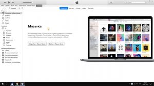 iPhone 11 забыл пароль! Как разблокировать Айфон 11 если забыл пароль?