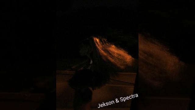 Jekson & Spectra - Monster High. смотреть онлайн