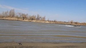 Кайман 400 Yamaha40