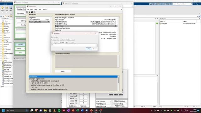 fMRI Analysis with SPM12: Structural Preprocessing (with GUI) смотреть онлайн