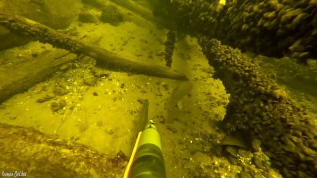 Подводная Охота " СОКРОВИЩА ВОЛГОГРАДА ". Большие Стаи Рыбы. Два дня охоты на Волге, Новый сезон! смотреть онлайн