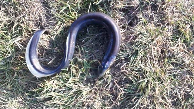 15 -11-2018 г Вот такую странную рыбку поймал сегодня В Астрахани смотреть онлайн