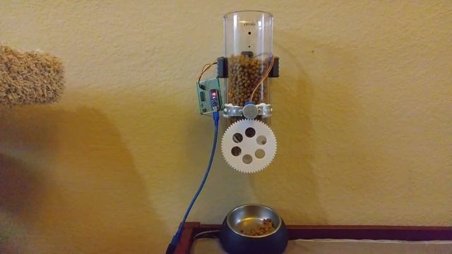 DIY Automated cat feeder