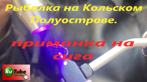 Изготовление рыболовной приманки для ловли сига.