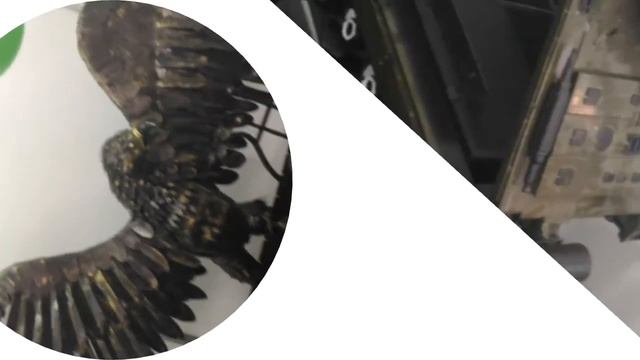 художественная ковка любые изделия ( Самара,, Ульяновск) 8-927-013-81-16...8-917-142-76-26 смотреть онлайн