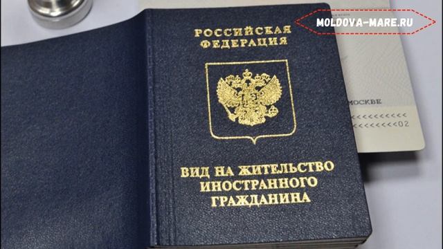 В России отменили оплату патента для иностранных граждан (Молдавская диаспора СПБ) смотреть онлайн