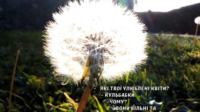 Улюблені квіти. Кульбаба. смотреть онлайн