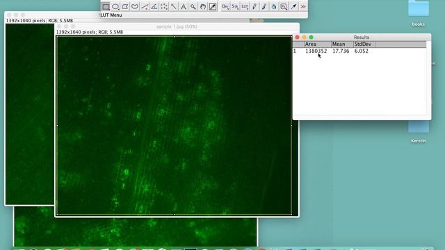 Comparing intensities in different samples using ImageJ смотреть онлайн