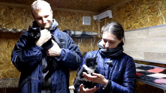 Волонтеры Qulix Systems в приюте для животных "Кошкин дом" смотреть онлайн
