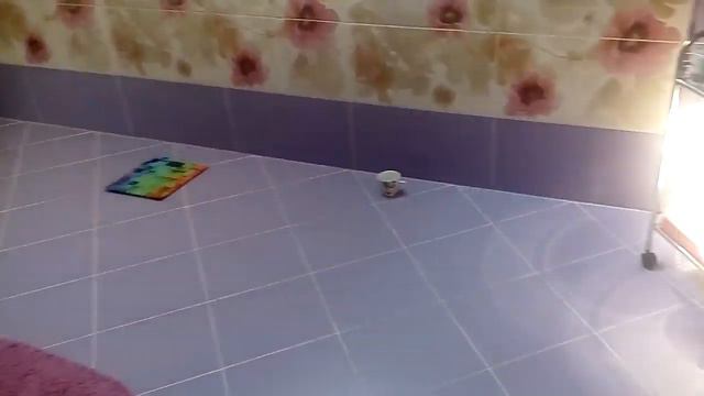 Жить в загородном доме здорово! смотреть онлайн