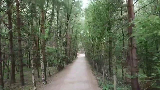 Кошки с буквой М на лбу - что значит буква М на лбу у кошек? - легенда о потомках кошек смотреть онлайн