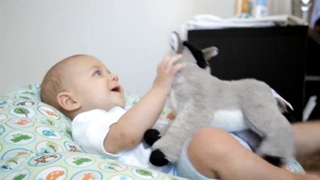 КАК ГОВОРЯТ ЖИВОТНЫЕ развивающие игры ЧЕМ ЗАНЯТЬСЯ ДОМА в 6 месяцев и младше смотреть онлайн