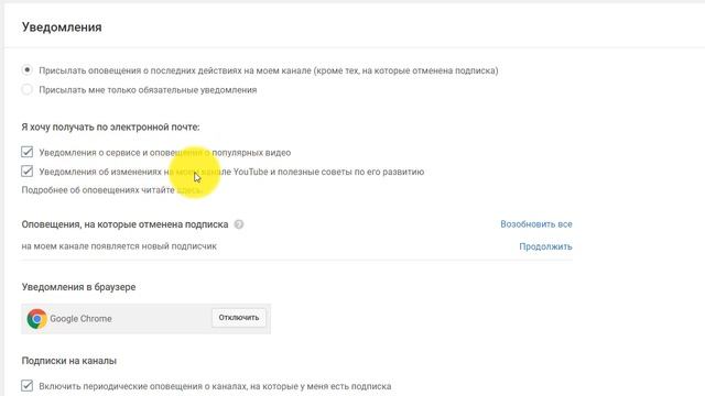 Как убедиться, что подписчики получают сообщения с канала YouTube. Оповещение о подписке на Ютубе! смотреть онлайн