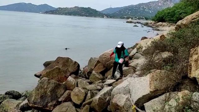 Batu-Batu Unik | Lung Kwu Tan, Tuen Mun HongKong | Dog Rock, Rhino Rock, Bread Rock | Rute lengkap смотреть онлайн