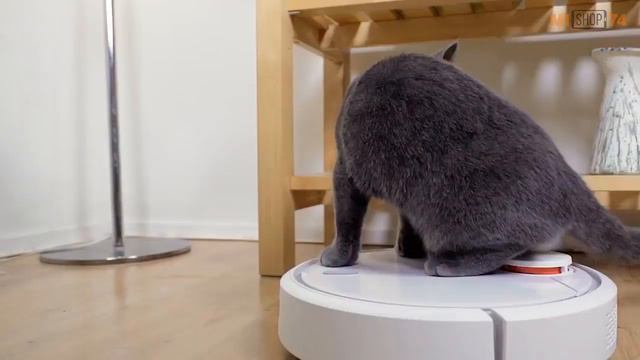 Кот и робот-пылесос ))) смотреть онлайн