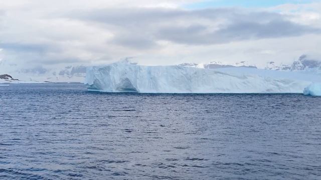 Антарктида + Аргентина 2022 (Antarctica + Argentina) смотреть онлайн