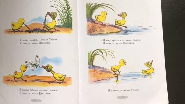 Цыпленок и утенок. Сказки и картинки Сутеева смотреть онлайн