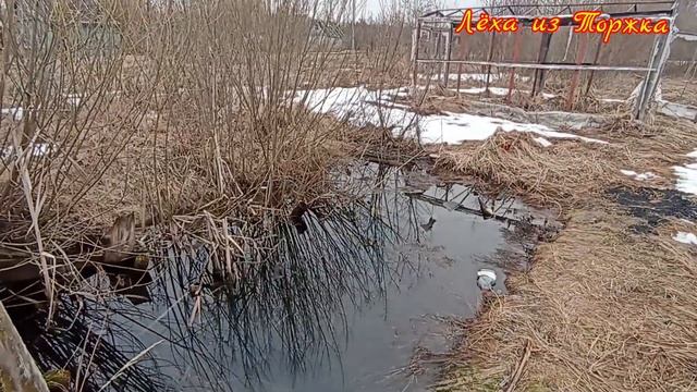 Купили старую заброшенную дачу #1 смотреть онлайн