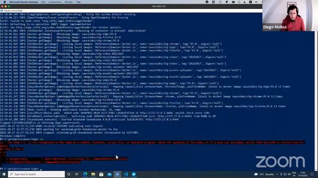 Agile Actors S.E.T meetup #6-"Understanding Selenium Grid 4" with Diego Molina смотреть онлайн