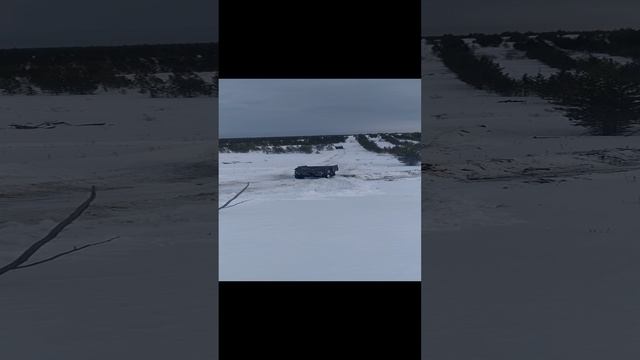 лес и снег смотреть онлайн