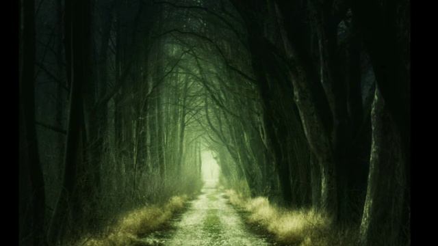 Dark forest music - The Eternal Forest смотреть онлайн