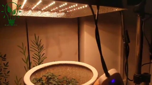 1200w Veg Bloom 9 Levels Dimmable Smart Timer Full Spectrum Uv Led Grow Light Ip65 Quantum board смотреть онлайн