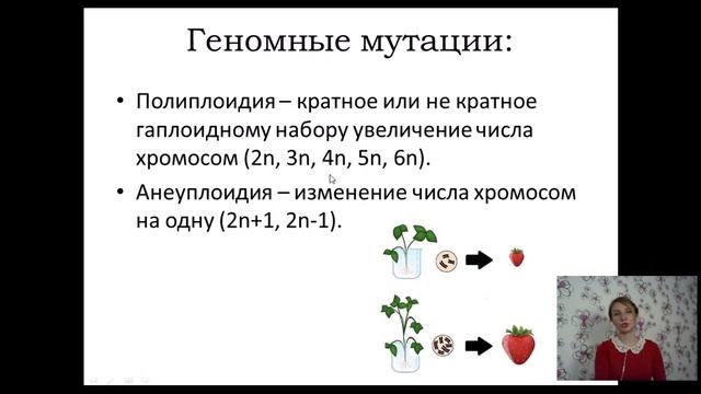 Классификация мутаций. Генная и хромосомная мутации смотреть онлайн