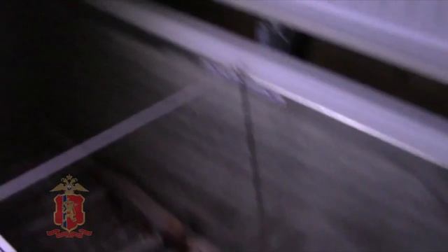 На севере Красноярского края полицейские изъяли более 600 рыб осетровых пород смотреть онлайн