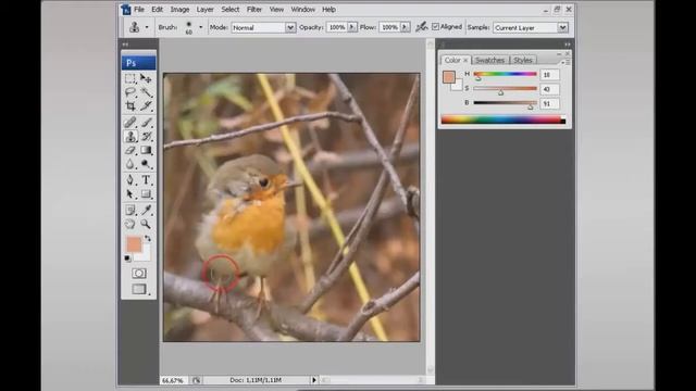 Инструмент фотошопа - Штамп смотреть онлайн