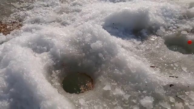 Зимняя рыбалка на море 20 февраля, наловили на жареху смотреть онлайн