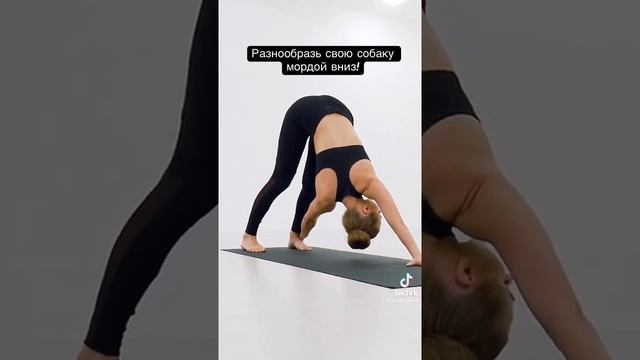 РАЗНООБРАЗЬ СВОЮ СОБАКУ МОРДОЙ ВНИЗ смотреть онлайн