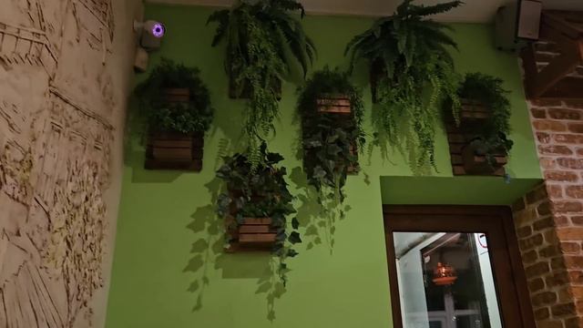 Первый день рождения в России, эту неделю мы видимо только ели.🤣 Из Германии в Россию/Крым смотреть онлайн