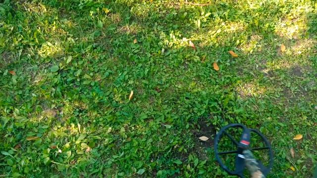 Minelab Ctx 3030, Equinox_800. пороговый фон для чего нужен, не пользуетесь а зря.