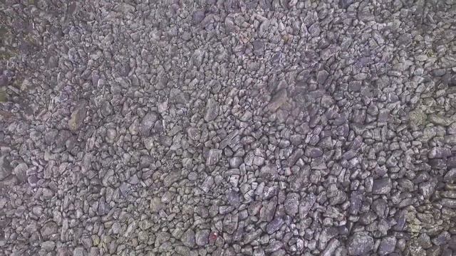 Каменная река смотреть онлайн