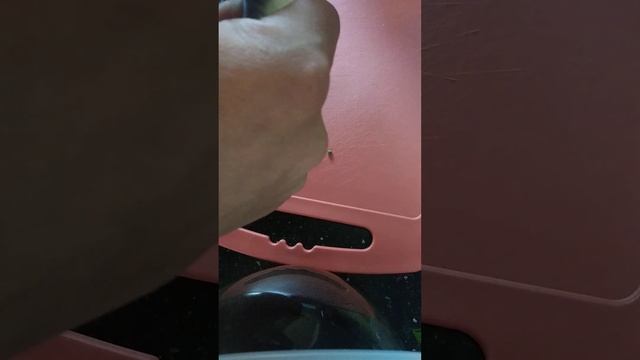 Как чистить грибы?)) смотреть онлайн