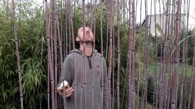 Wizyta w niezwykłym ogrodzie Andrzeja смотреть онлайн