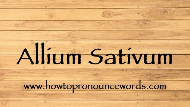How To Pronounce Allium Sativum ? How To say Allium Sativum New Video смотреть онлайн