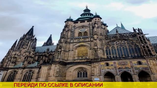 Turkish Airline Airport