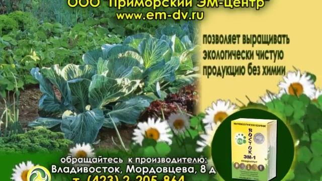 Восток ЭМ-1 смотреть онлайн