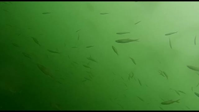 Рыбалка в глубоком карьере.My fishing. смотреть онлайн