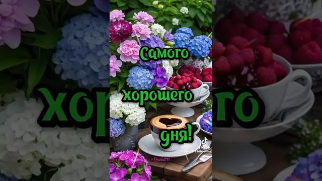 utro.mp4 смотреть онлайн