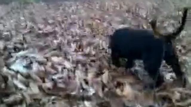 Aray spacer смотреть онлайн