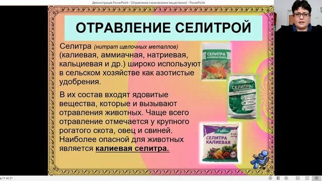 Петрова Ю.Н. / РО 03-03 / Тема: Отравления животных химическими веществами смотреть онлайн