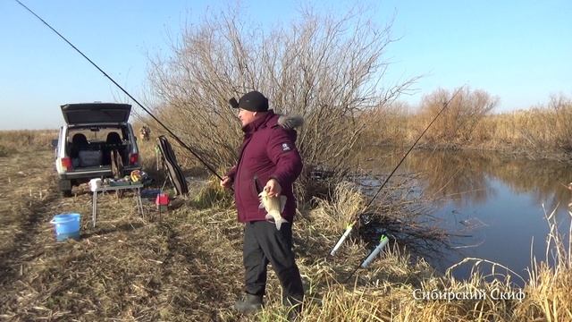 Караси гиганты. Ловля карася на навозного черьвя и кукурузу смотреть онлайн