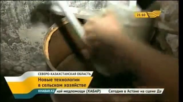 Агроном из СКО Андрей Стрелец производит *Биогумус* (Вермикультивирование) смотреть онлайн