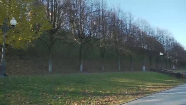 Тайна раскрыта: специалисты рассказали, почему знаменитая липа на набережной не сбрасывает листву смотреть онлайн