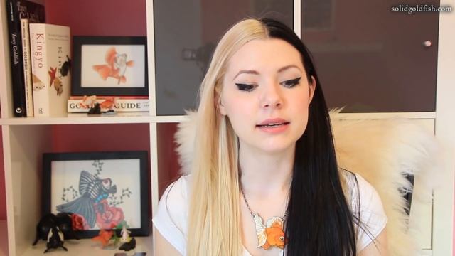 HOW TO SET UP A GOLDFISH TANK смотреть онлайн