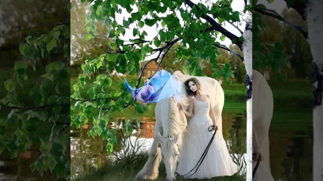 Александр Петров - ,,Ты поила коня" - С. Есенин смотреть онлайн