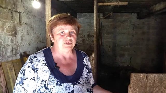 После отела не отошёл послед! что же делать? смотреть онлайн