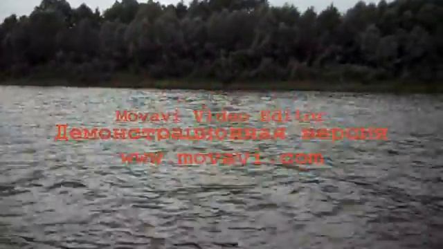 Лодка СТЕЛС 315